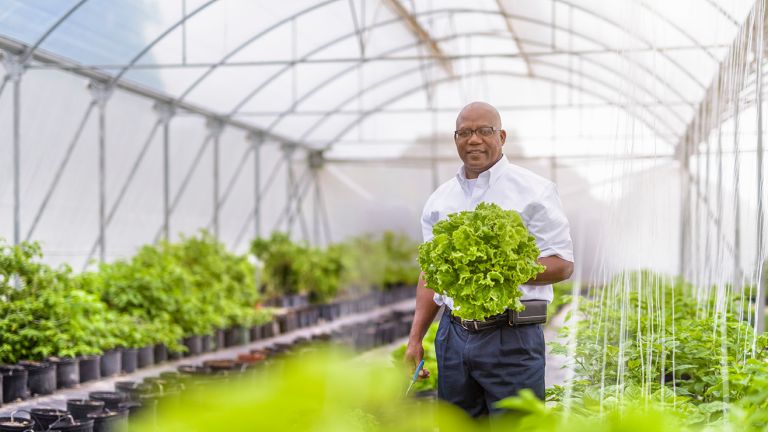 Person standing in greenhouse holding a plant